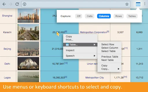 I-download ang Copytables – Pinakamabilis na Data Scraper para sa Chrome - Screenshot 2